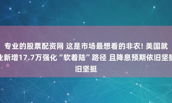 专业的股票配资网 这是市场最想看的非农! 美国就业新增17.7万强化“软着陆”路径 且降息预期依旧坚挺