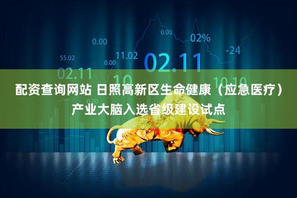 配资查询网站 日照高新区生命健康（应急医疗）产业大脑入选省级建设试点