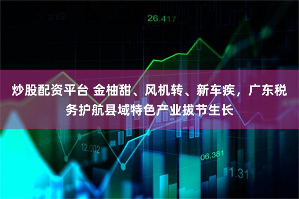 炒股配资平台 金柚甜、风机转、新车疾，广东税务护航县域特色产业拔节生长